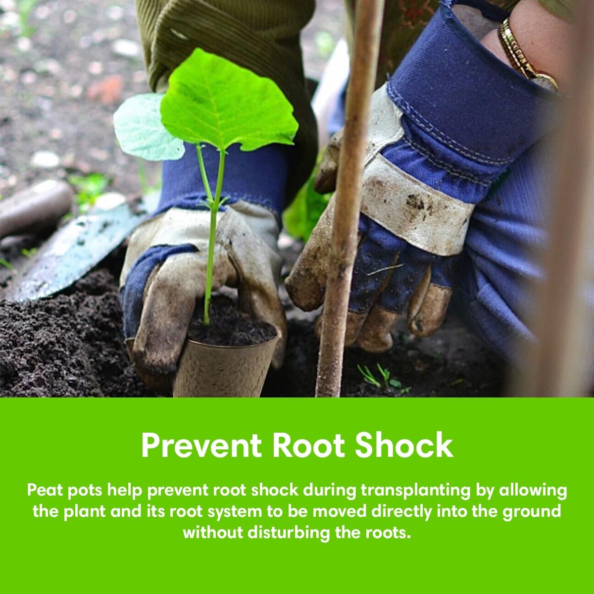 Seed Starter Kit - 10 Peat Pots, Coco Coir Discs & Markers