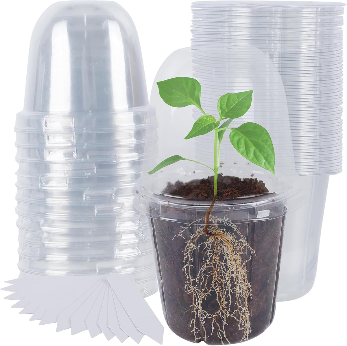 winemana 36 Set Nursery Pots with Humidity Dome, Clear Nursery Pots for Plants, Seed Starting Pots with Drainage Holes & Plant Labels for Vegetables Flowers Garden Plants