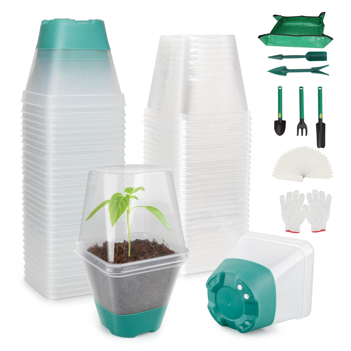 Sankoly 30 Packs Clear Nursery Pots with Plant Labels 3 Inch Plastic Plant Pot with Humidity Domes Silicone Base and Drainage Holes Reusable Seedling Pots