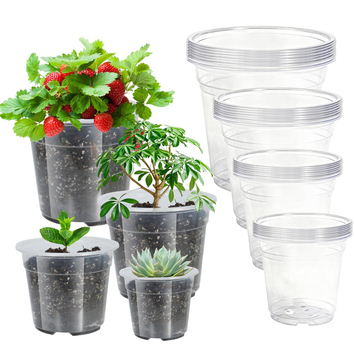 100Pcs 1 Gallon Black Nursery Pots, Soft Plastic Seedling Plant Pot with Holes, Garden Flower Seedling Pot for Indoor/Outdoor Use, Small to Medium Size