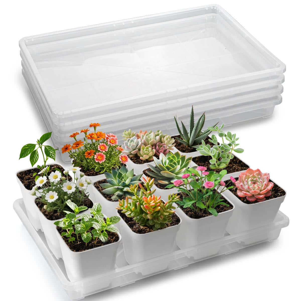 RooTrimmer Square Nursery Pot Tray with 24 Cells, 5 Pack Plant Trays for Pots, Flower Pot Moving Tray, Plastic Planting Tray for Carrying Small Plant Pots(120 Cells in Total