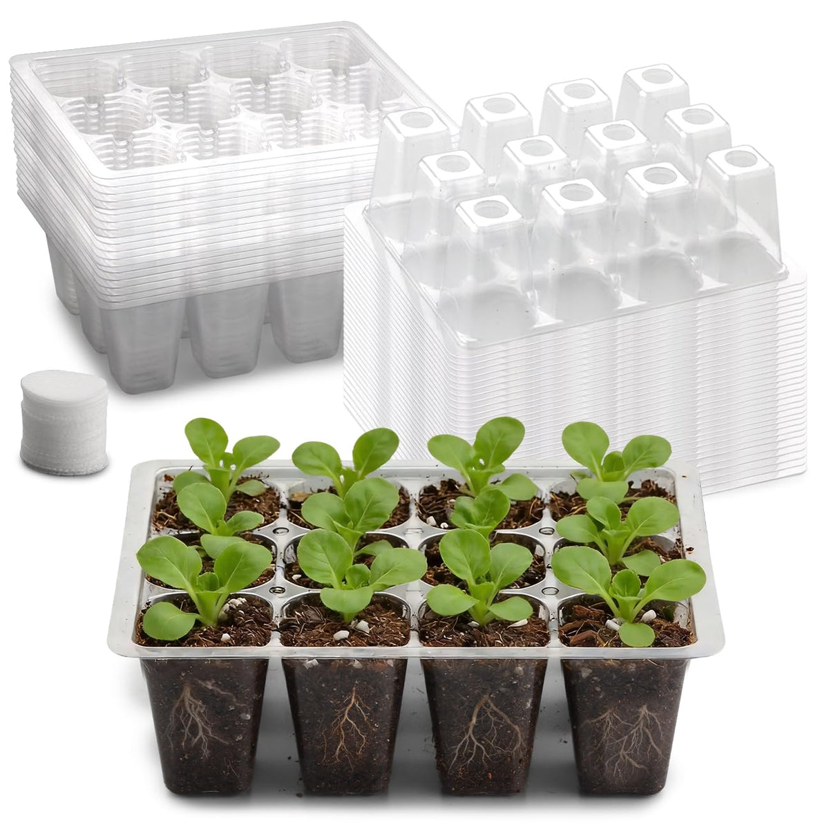 RooTrimmer 60 Pack Reusable 12-Cell Seed Starter Tray with Large Drain Hole