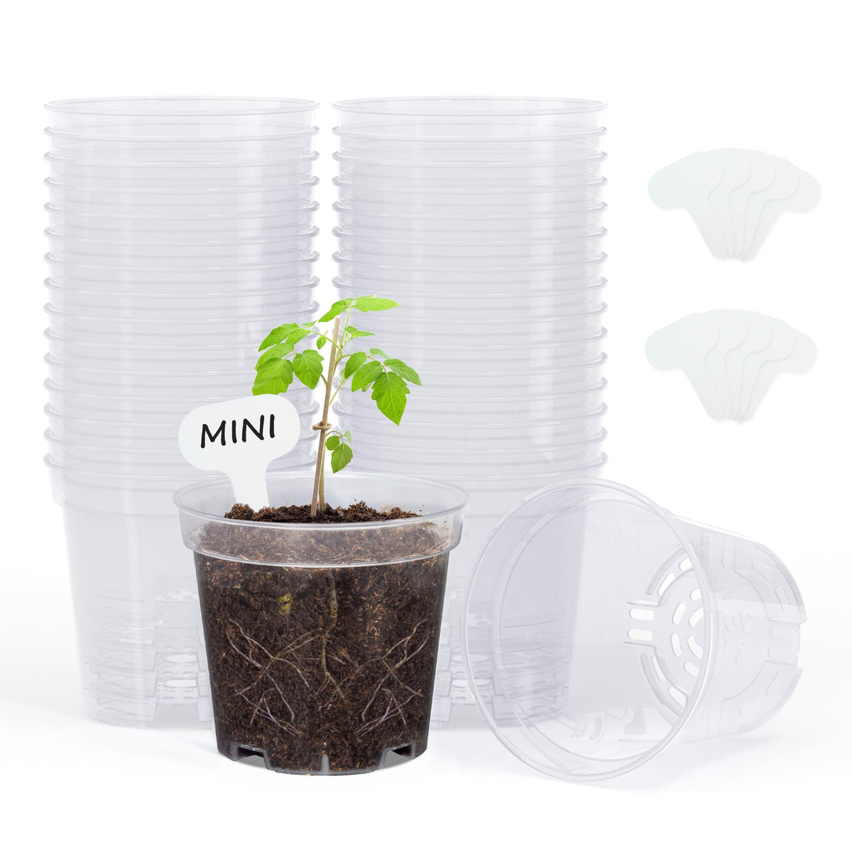 homenote 3/4/5 Inch Clear Nursery Pots with Drainage and 20 Labels (30 Pcs)