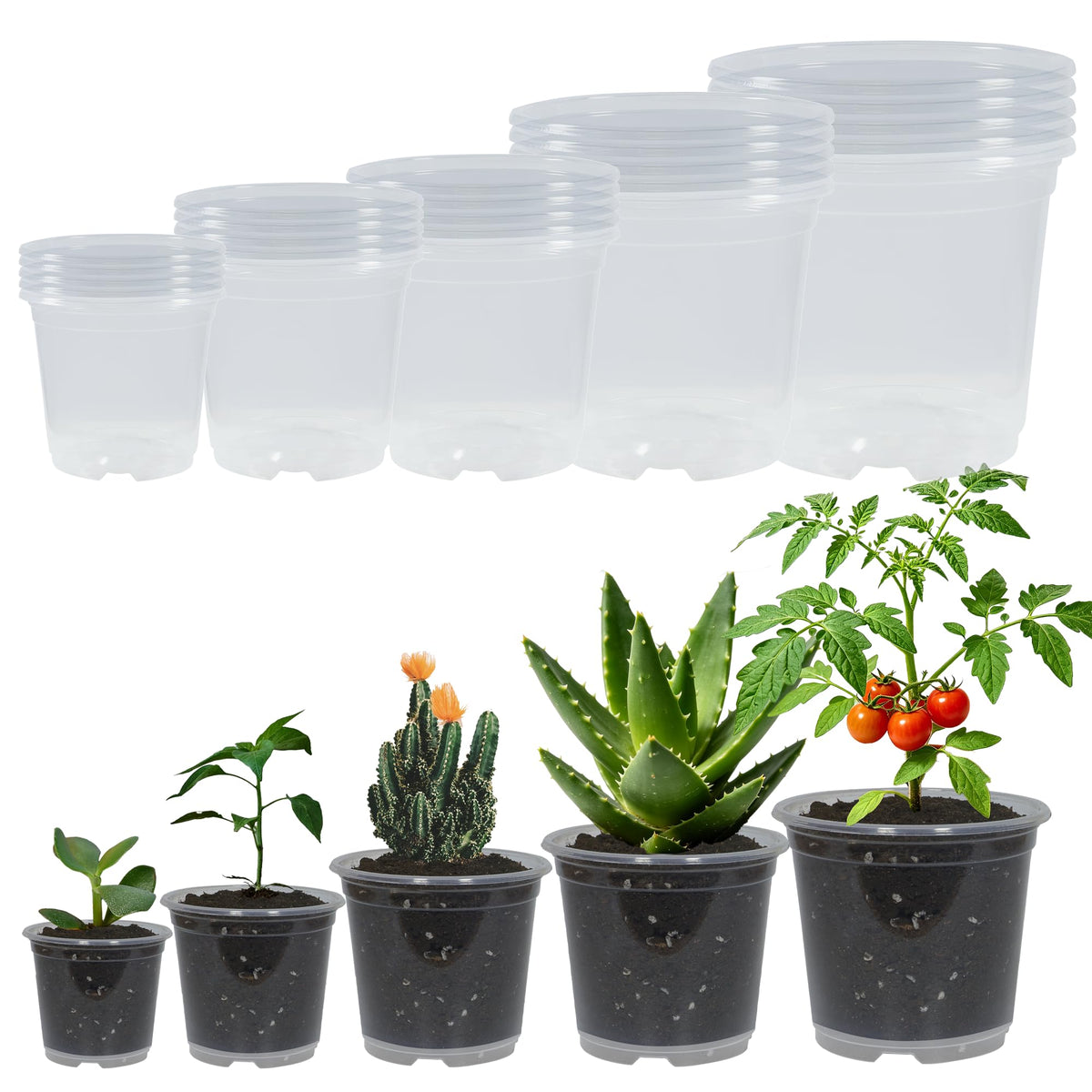 20 Pack 4 Inch Clear Nursery Pots with Drainage and 20 Pack Plant Saucers, Plant Pots for Plants Transparent Potting Containers for Plants Seeding Starter Pot (Clear, 4 Inch)