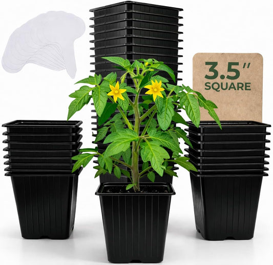 CARPATHEN Nursery Pots for Plants with Drainage Holes, 3.5 inch, 60 Pack