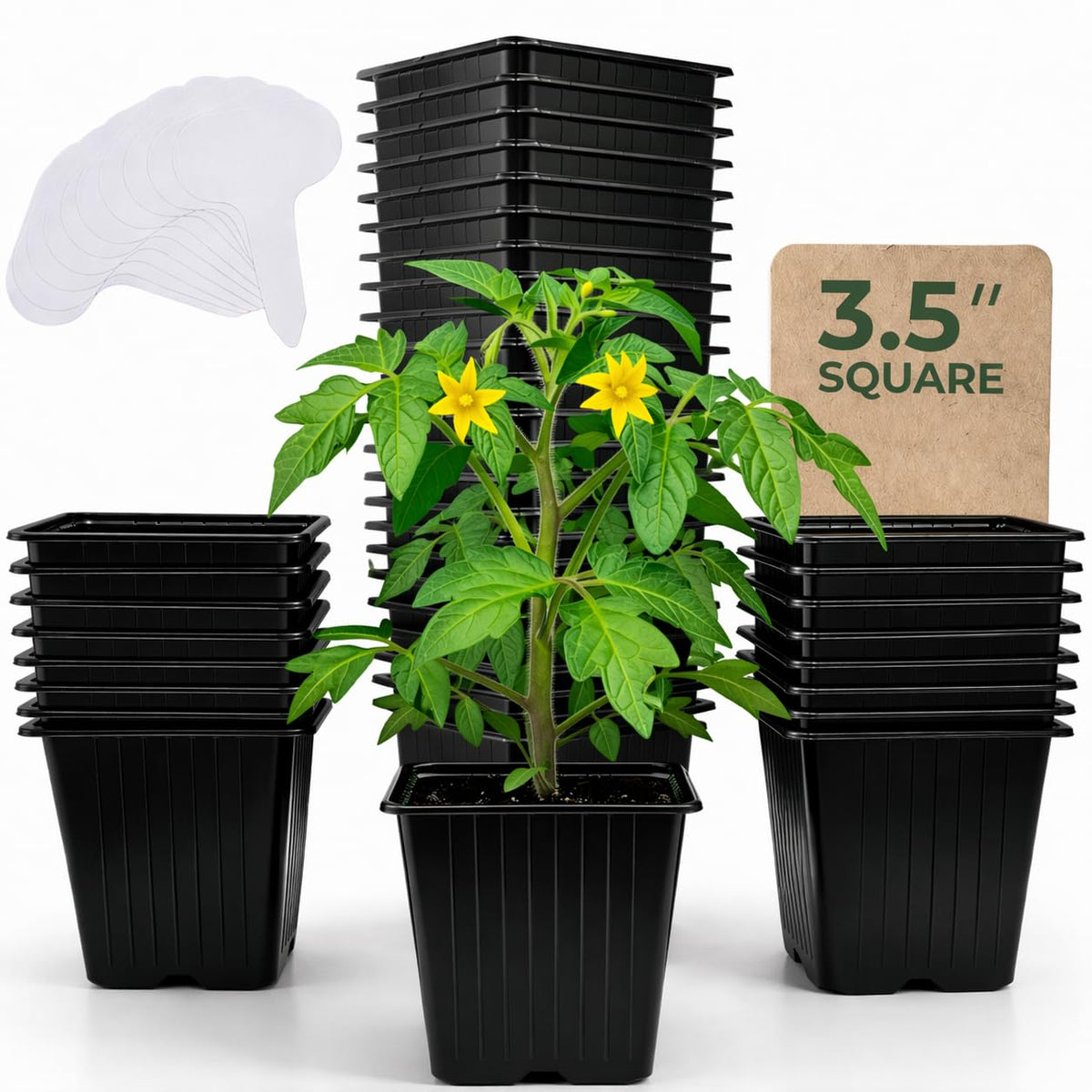 CARPATHEN Nursery Pots for Plants with Drainage Holes, 3.5 inch, 60 Pack