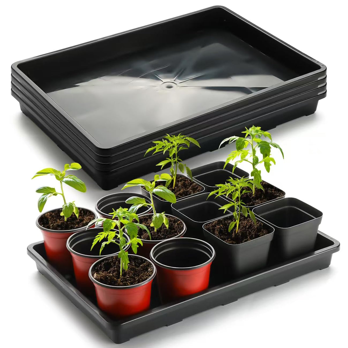 RooTrimmer 2.8 inch (7CM) Square Nursery Pots 120pcs (Green) and 24 Cell Nursery Pots Trays 5 Pack, Plastic Seedling Starter Tray with Drain Holes for Carrying and Holding Plant Pot(17"x11"x1.6")