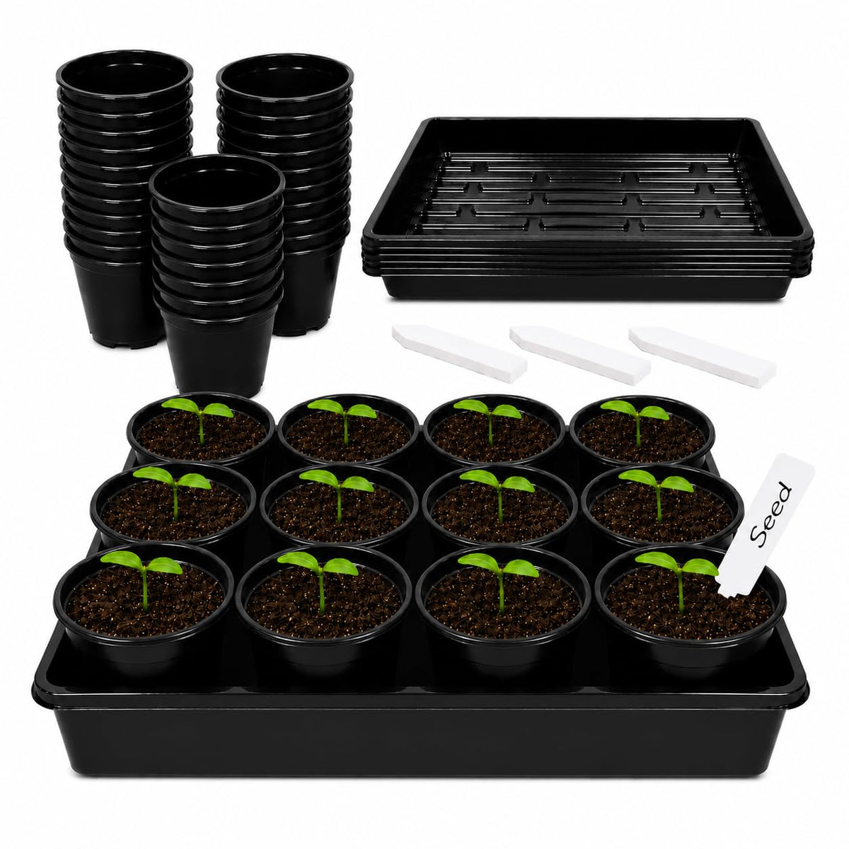 5 Pack Plastic Seed Starter Tray with 60pcs 3.5 inch Seedling Pots
