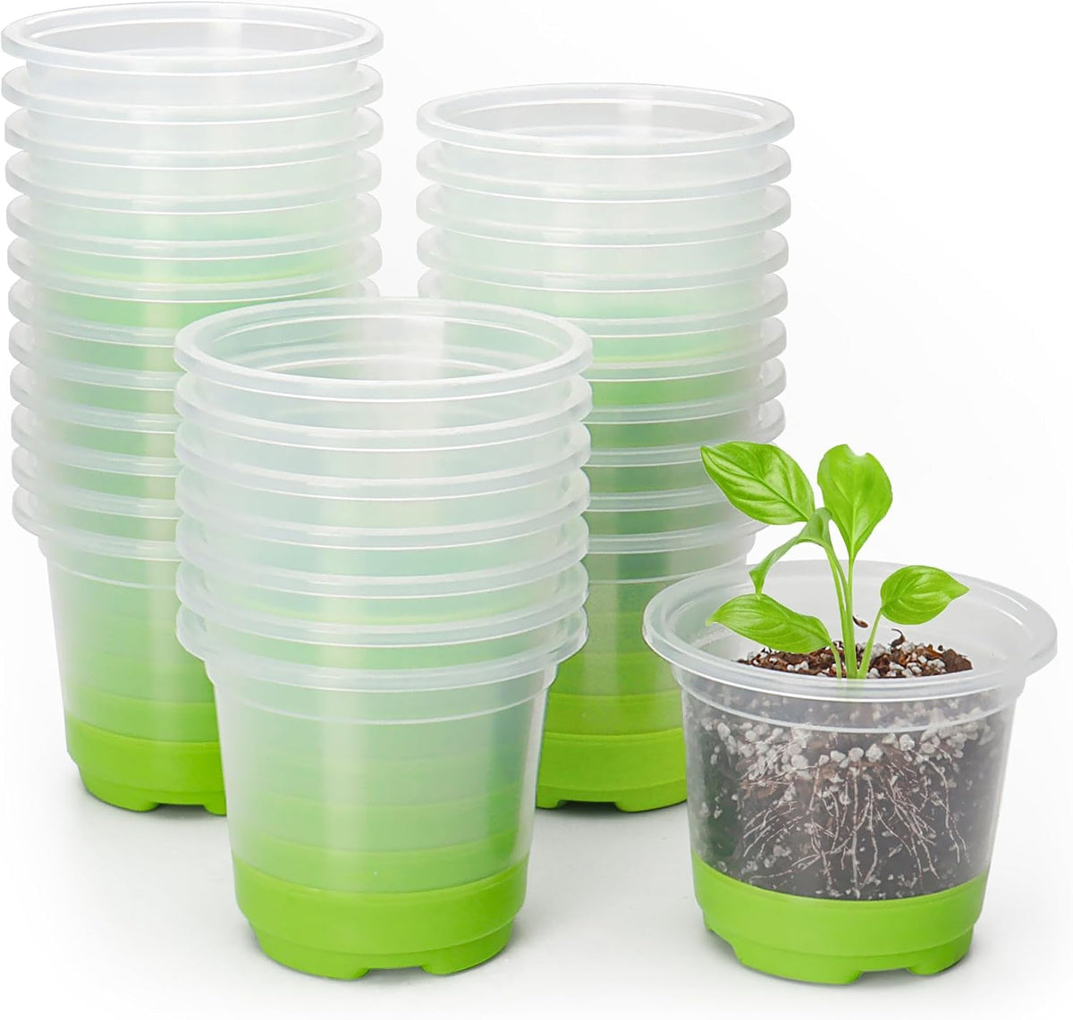MIXC Clear Nursery Pots with Silicone Base, 4-Inch, 30-Pack