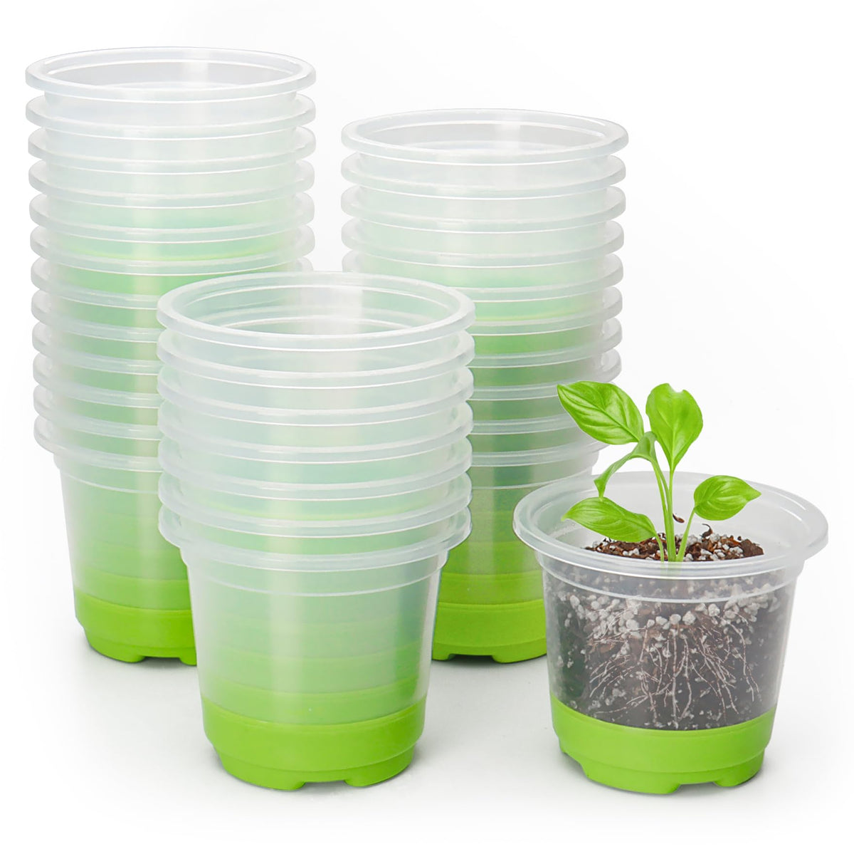MIXC Clear Nursery Pots with Silicone Base, 4-Inch, 30-Pack