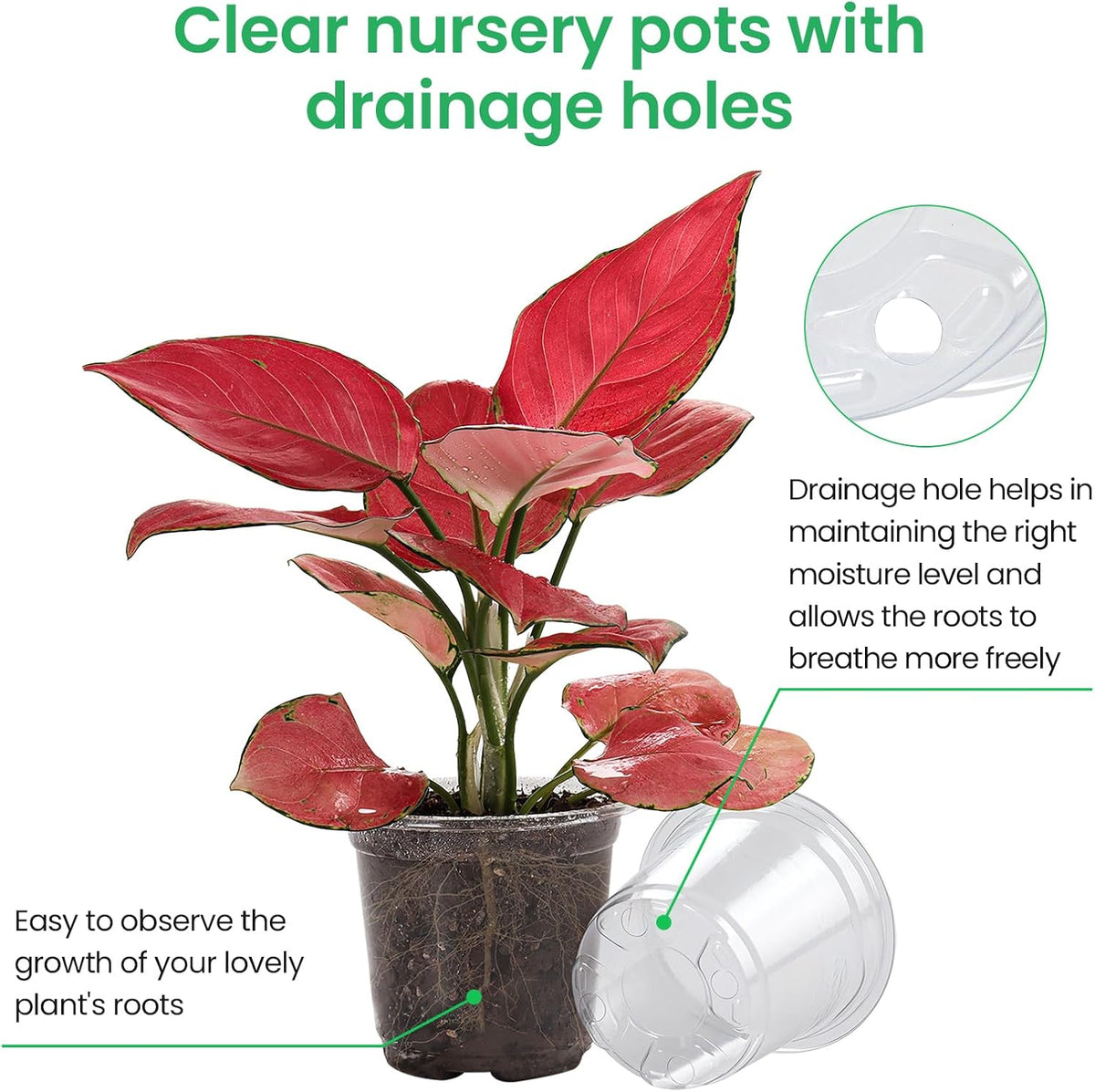 Bluepro Clear Nursery Pots with Drainage Holes, 3.5/4/5/7 Inch, 36-Pack