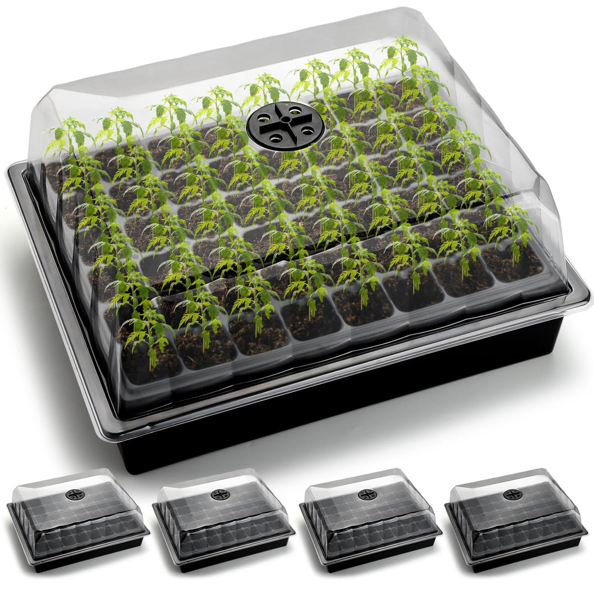 3-Pack Seed Starter Trays with 5" Tall Humidity Domes & 54-Cell Deep Trays