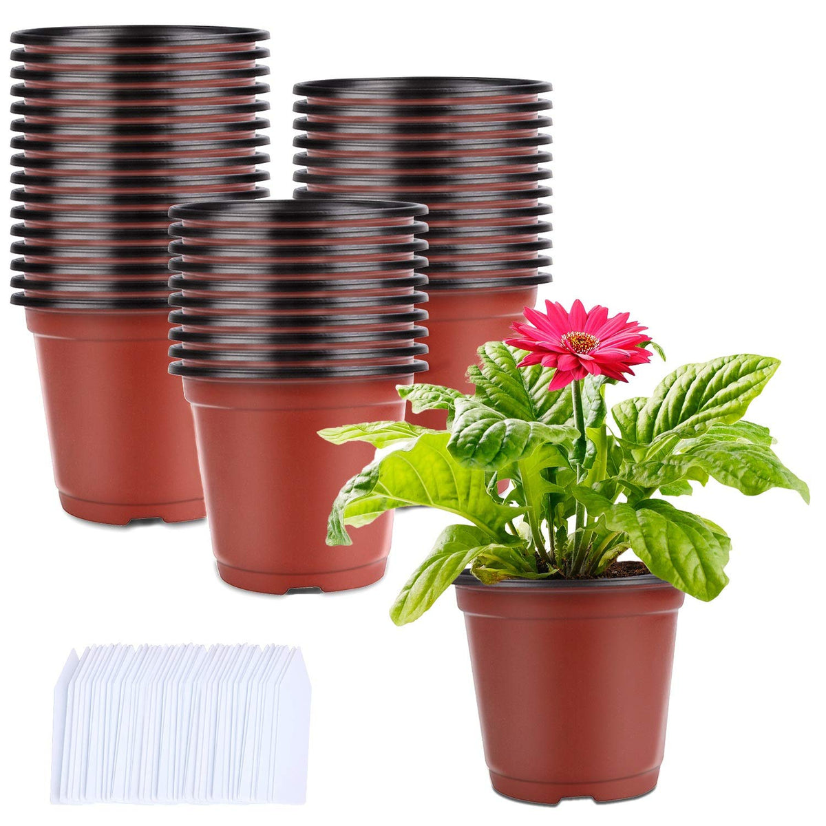 Augshy 120 Pcs Plastic Plants Nursery Pot, Seed Starting Pots 4,5,6-Inch