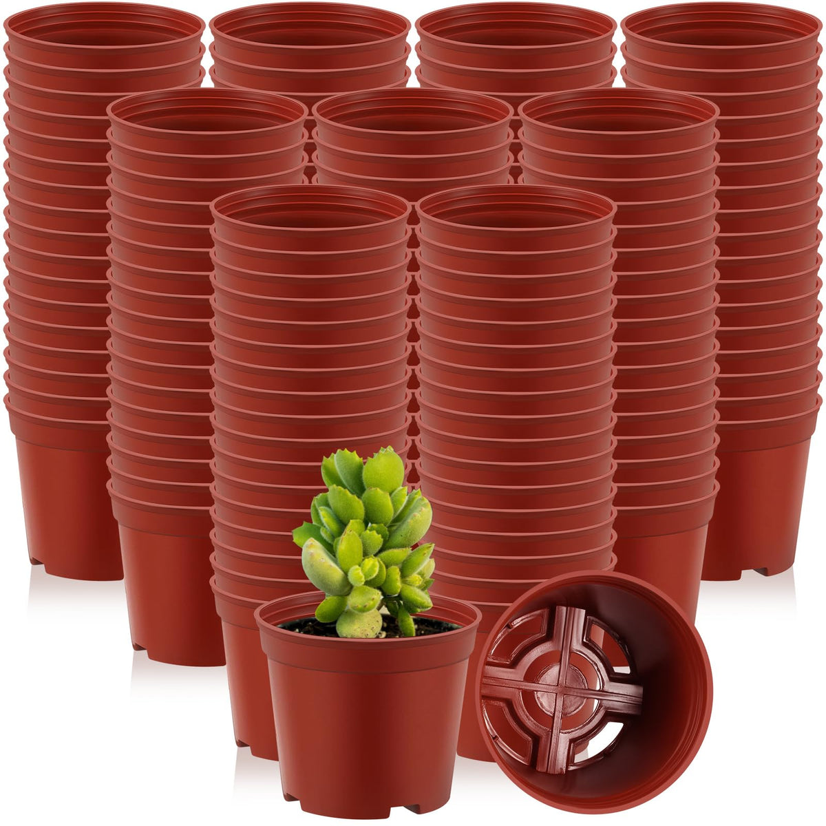 Yaomiao 200 Pcs 2 Inch Clear Mini Nursery Pots with Drainage Holes
