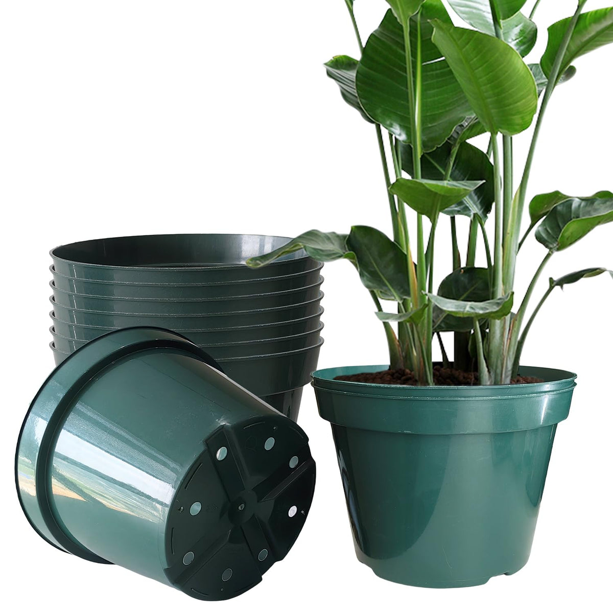 RooTrimmer 40 Pack 4 Inch Plant Nursery Pots with Mesh Pad, Sturdy Plastic Flower Planter Pots with Drainage Holes, Seed Starter Pots for Planting Seedings Cuttings Succulents Indoor Ourdoor, Black