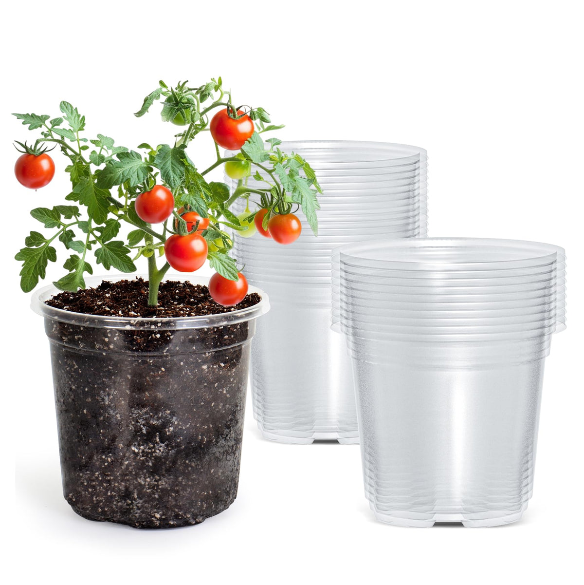 Bluepro Clear Nursery Pots with Drainage Holes, 3.5/4/5/7 Inch, 36-Pack