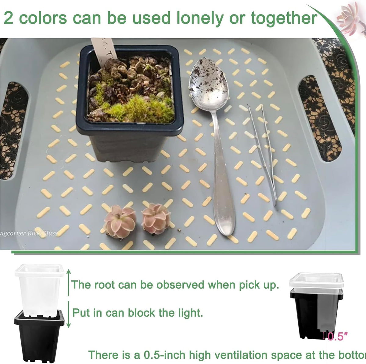 2 Inch Square Nursery Pots, 50 Pack (25 Clear + 25 Black) Seedling Starter Pots, Plastic Plant Pots with Drainage Holes, for Seed Germination, Root View, and Light Blocking