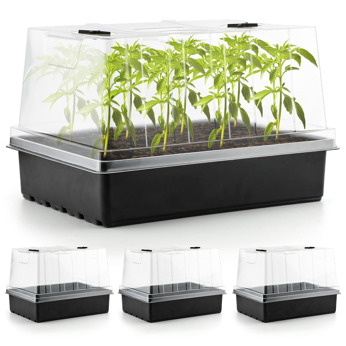 3-Pack Seed Starter Trays with 5" Tall Humidity Domes & 54-Cell Deep Trays