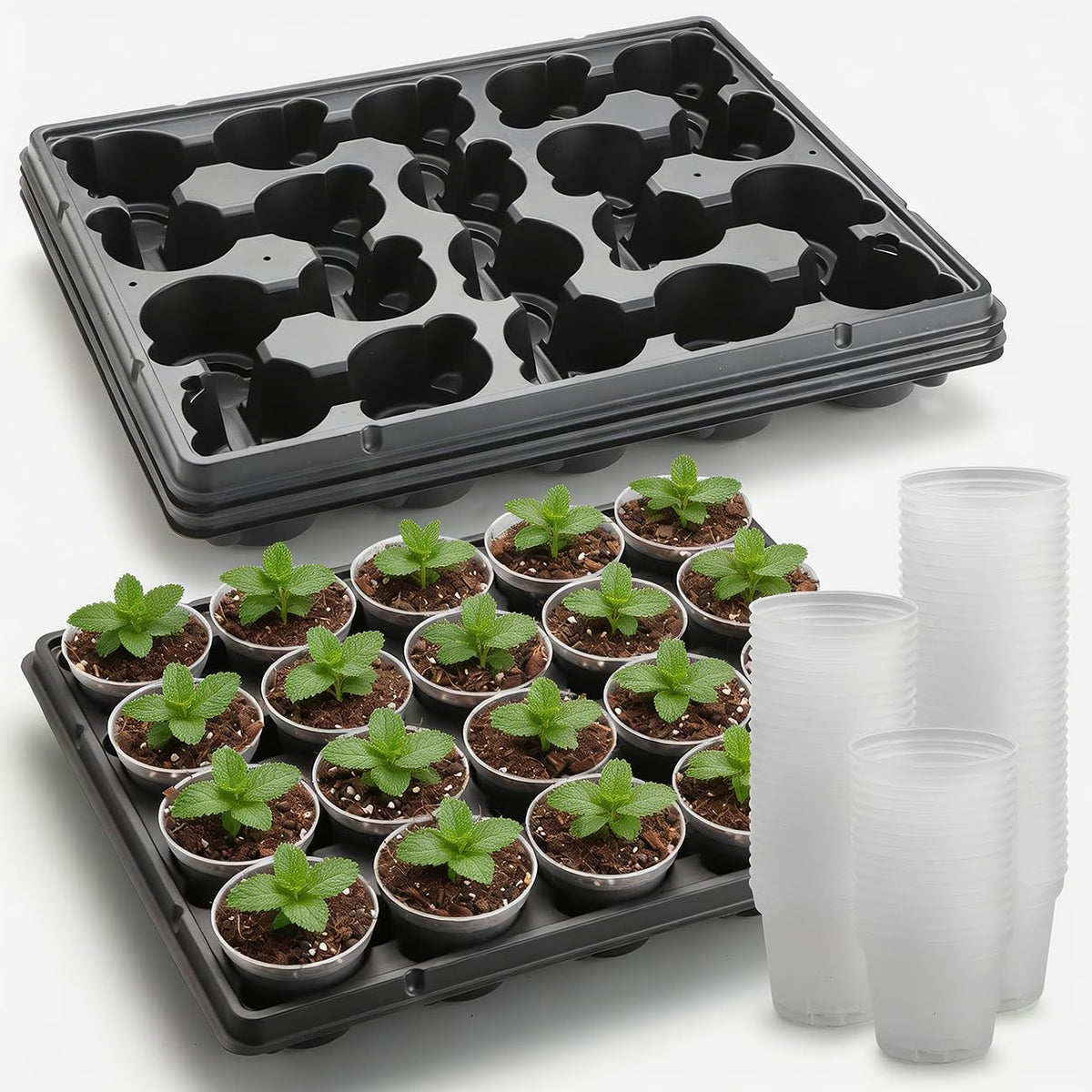 RooTrimmer 4 Inch Plastic Plant Pots 60 Pcs and 12 Cell Nursery Pots Trays 5 Pcs, Thick Sturdy Seeds Starting Germination Shuttle Carrying Trays, Black Small Planter Nursery Propagation 5 Sets