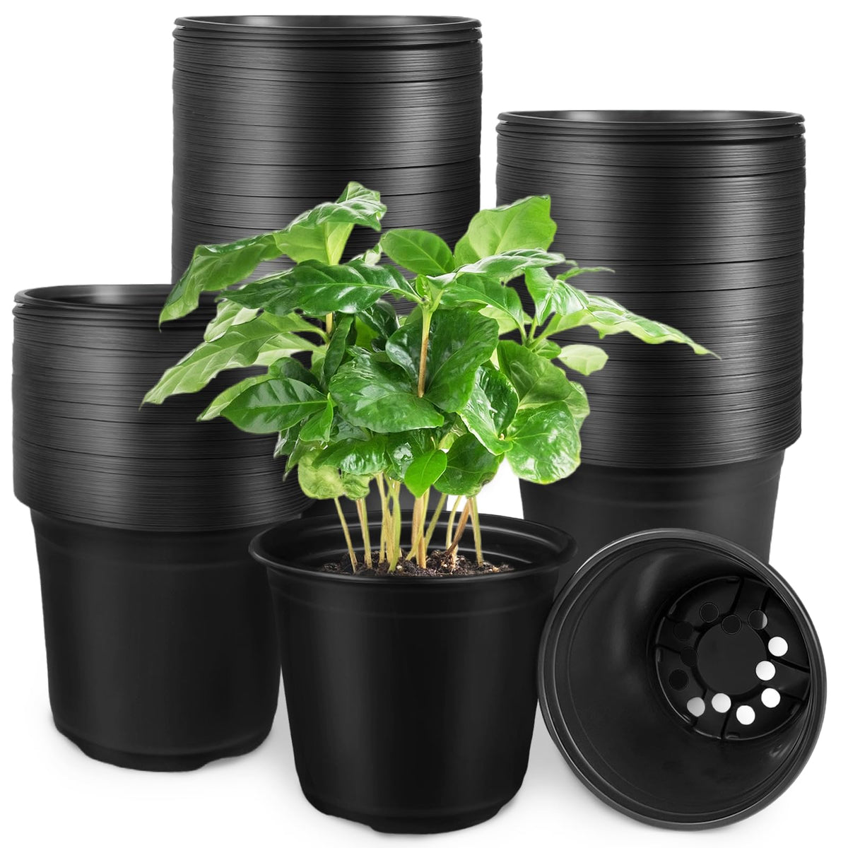 Anyumocz 60 Pcs 1 Gallon Flexible Plant Nursery Pots,Thickened Soft Plastic Seedling Pot with Holes,Flower Plant Container for Succulents,Cuttings,Transplanting,Home Garden(Black)