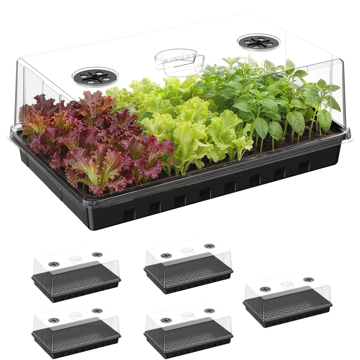 Seed Starter Tray, Gardening Plant Grow Trays Kit for Seedling, Germination Trays with 4.72 Inch High Humidity Domes，Large Growing Space & Better Air Flow for Seed Starting, Mini Greenhouse, 3PCS