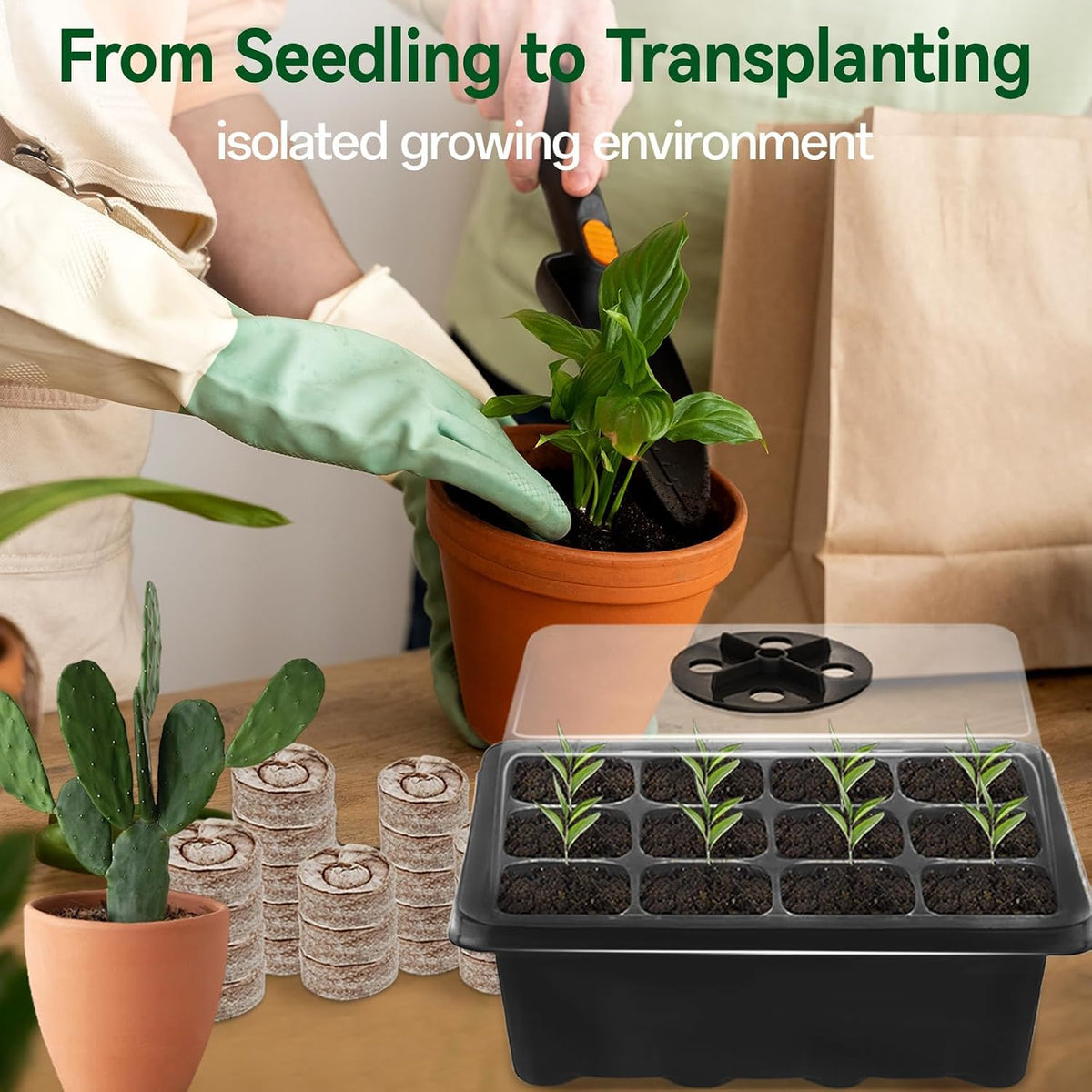 Seed Starter Tray with Peat Pellets, Black Seeding Starter Trays for Plant