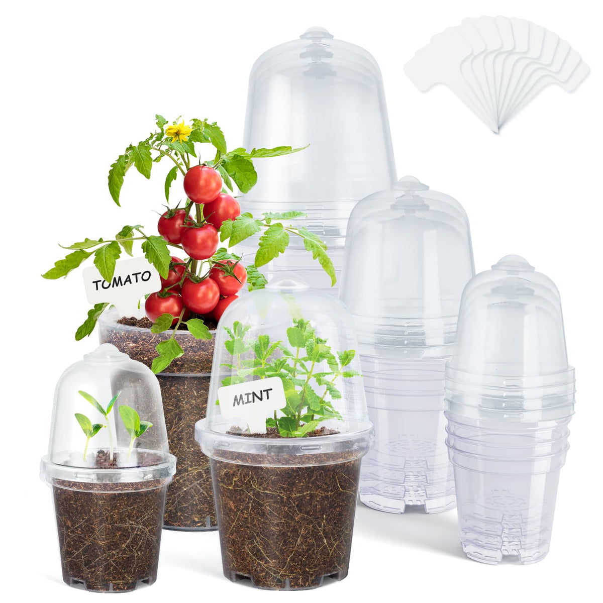 homenote 3/4/5 Inch Clear Nursery Pots with Drainage and 20 Labels (30 Pcs)
