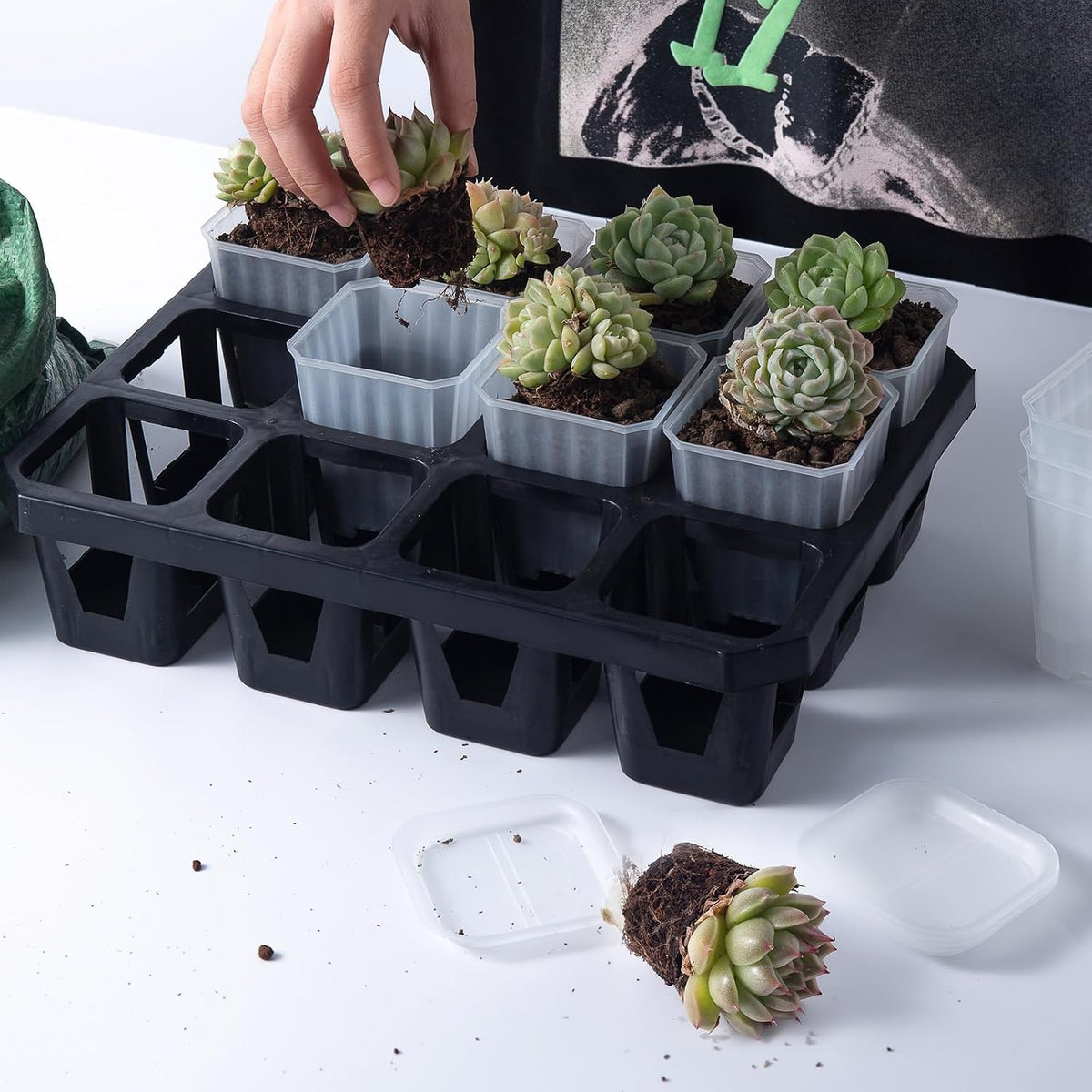 30Pcs 3 Inch Clear Nursery Pots with Saucers, Square Plastic Plant Pot