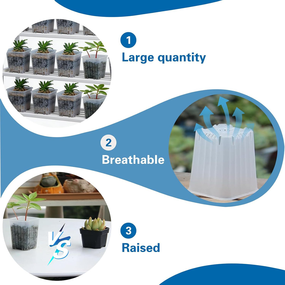 50 Pack 1.6'' Square Clear Nursery Pots, Mini Transparent Planter