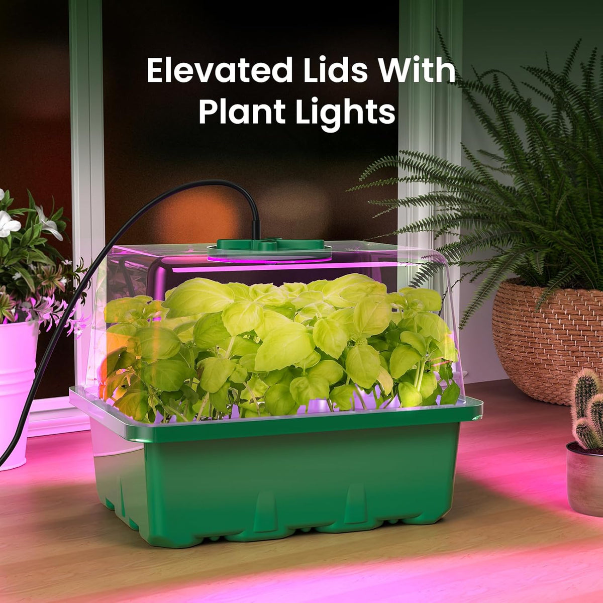 MIXC 6 Pack Seed Starter Kit with Grow Light, Vented Humidity Dome, Green