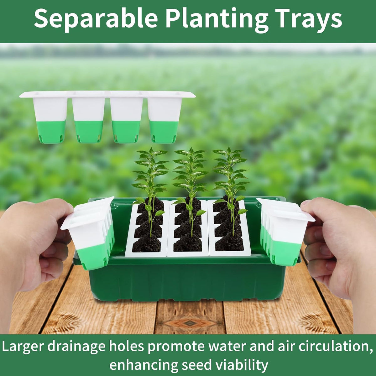 Sondiko Seed Starter Tray with Soft Silicone Cells, 80-Cell Starter Kit