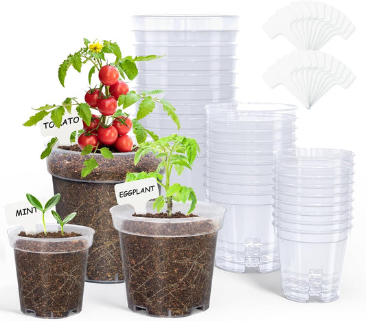 homenote 3/4/5 Inch Clear Nursery Pots with Drainage and 20 Labels (30 Pcs)