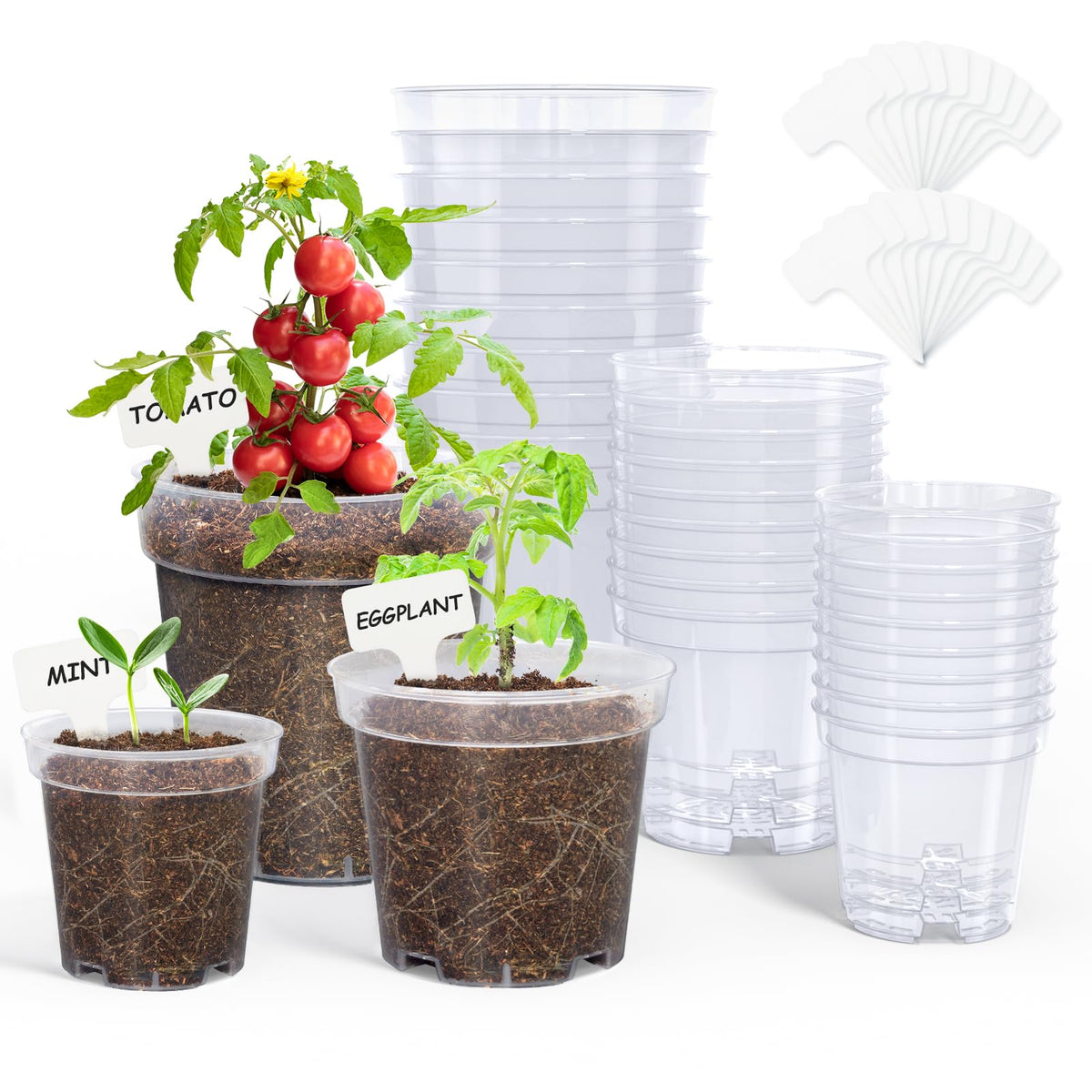 homenote 3/4/5 Inch Clear Nursery Pots with Drainage and 20 Labels (30 Pcs)