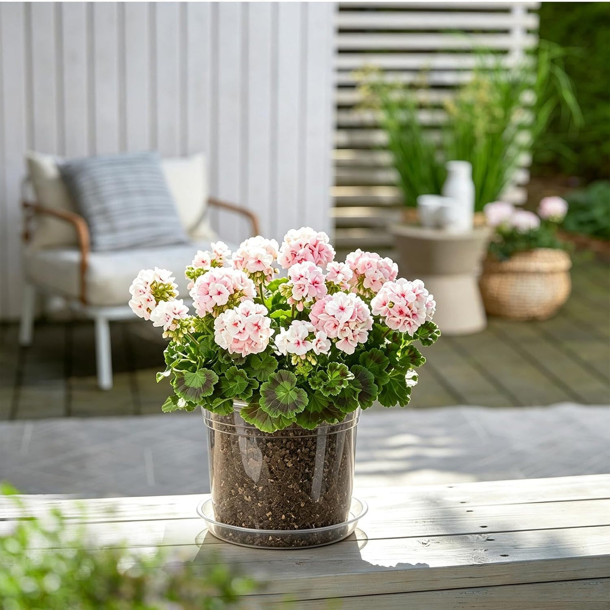 7/6/5/4 Inch Clear Nursery Pots with Drainage Hole 20Pcs,Plastic Plant Pot