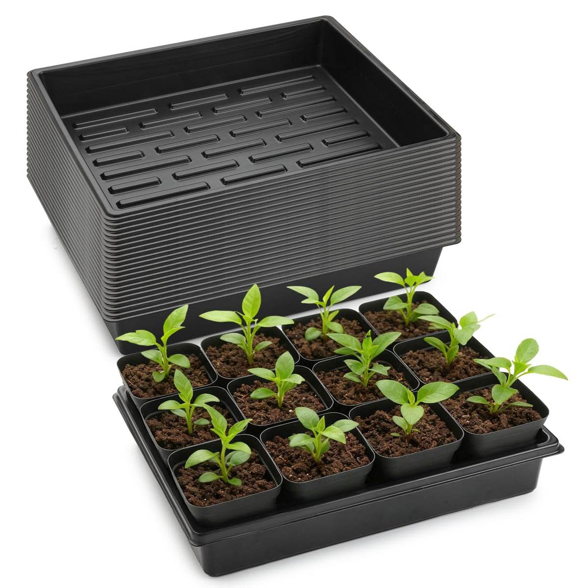 RooTrimmer 10 Pack 2.5 inch Square Pots 3.5 inch Deep 20 Cell Seedling Plug Trays with Water Collection Nursery Trays (15"x11"x3") for Seeds Starting and Transplanting