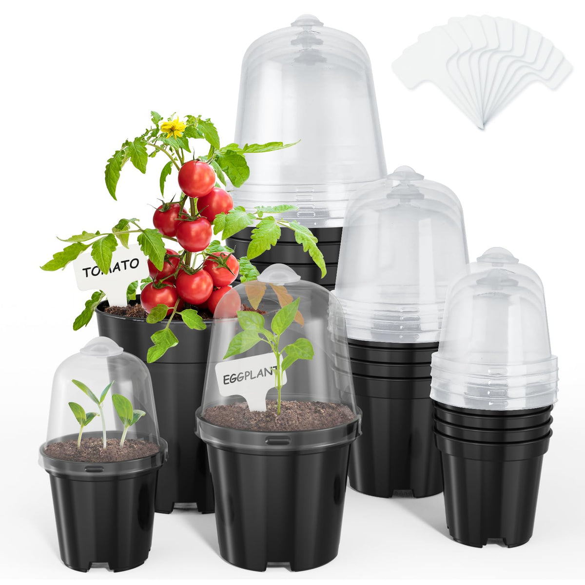 homenote 3/4/5 Inch Clear Nursery Pots with Drainage and 20 Labels (30 Pcs)