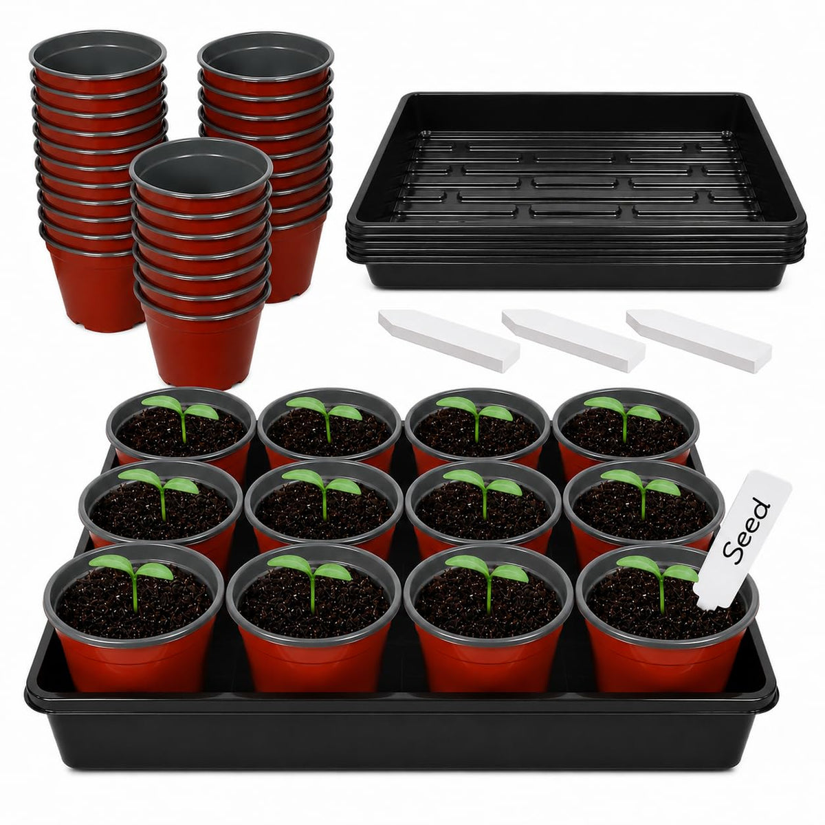 5 Pack Plastic Seed Starter Tray with 60pcs 3.5 inch Seedling Pots