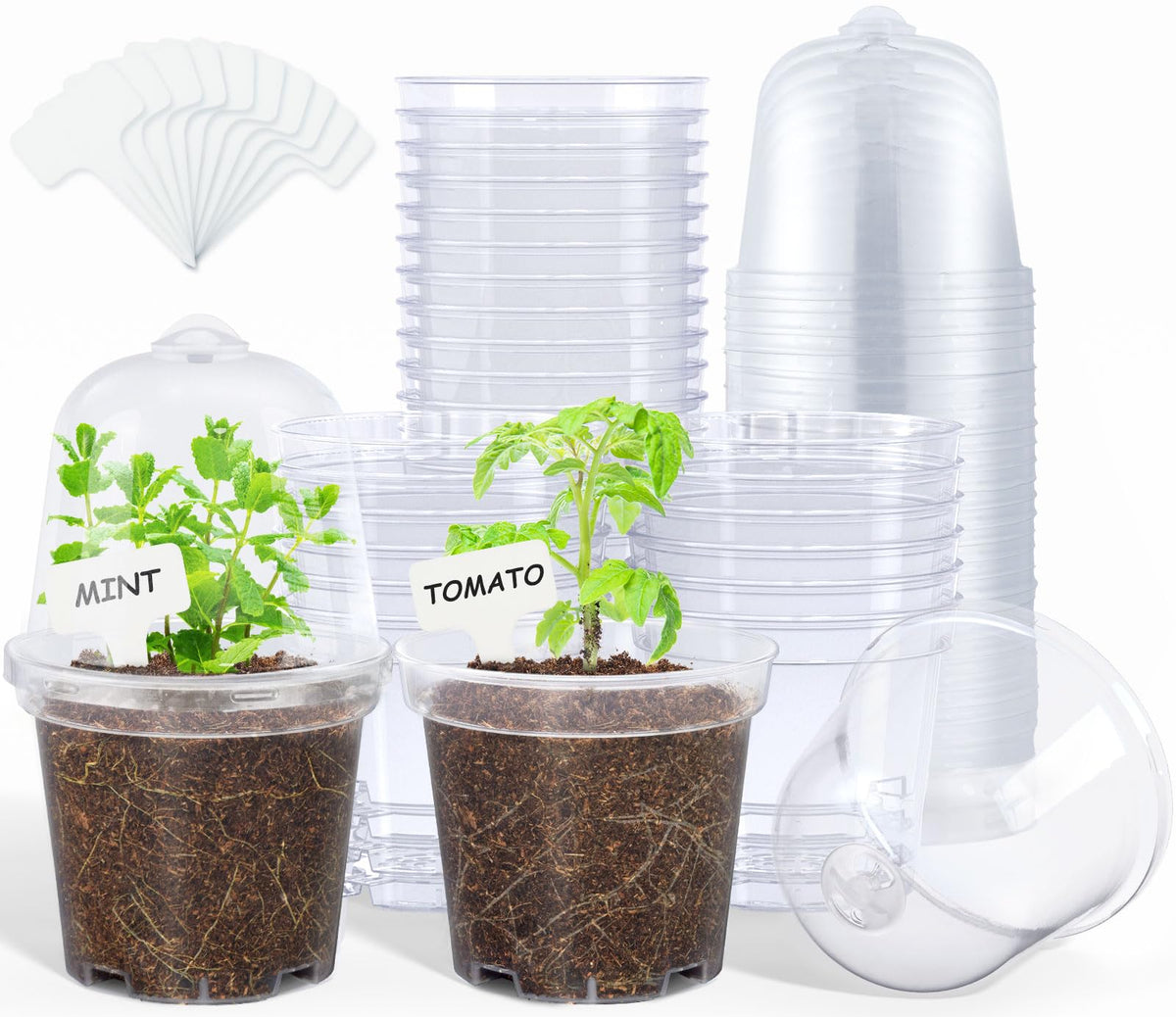 homenote 3/4/5 Inch Clear Nursery Pots with Drainage and 20 Labels (30 Pcs)