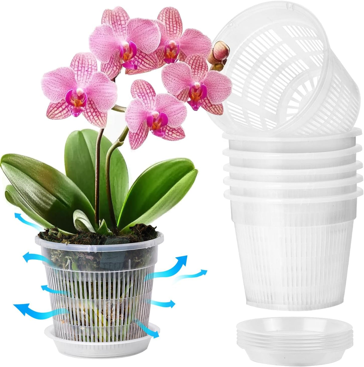 T4U Clear Orchid Pots 4.3 Inch 6 Pack, Orchid Pot with Holes Repotting