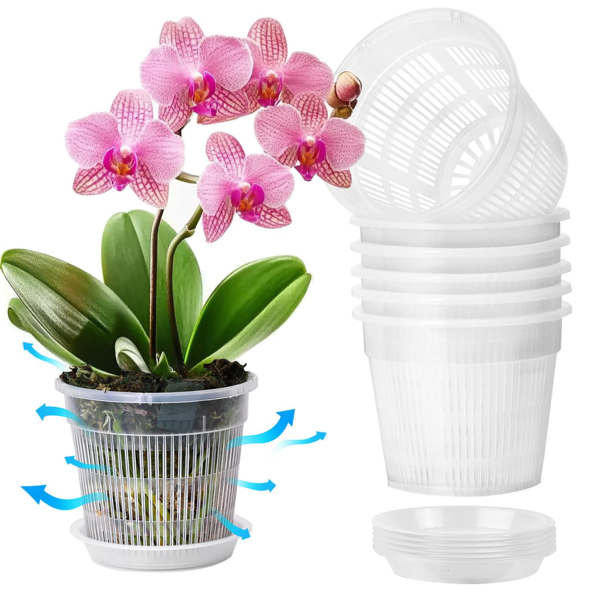 T4U Clear Orchid Pots 4.3 Inch 6 Pack, Orchid Pot with Holes Repotting