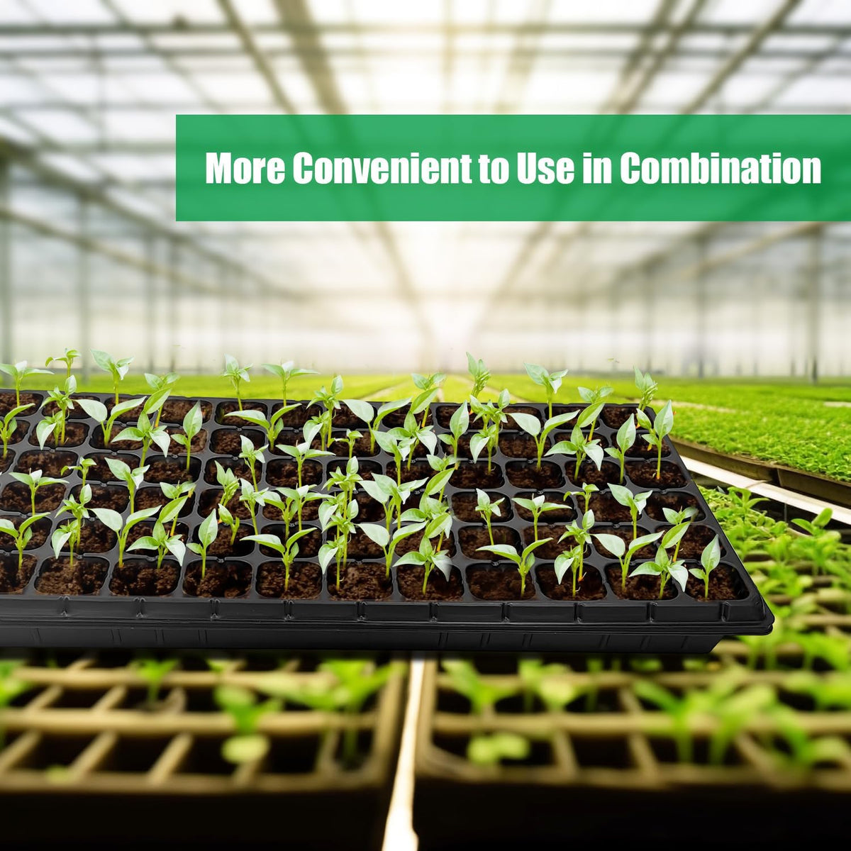 RooTrimmer 10 Pack 1020 Seed Starter Trays and 10 Pcs 72 Cell Plug Trays, Thick Durable Seedling Plastic Nursery Tray for TD538 1020 Tray Germination (10 Sets)