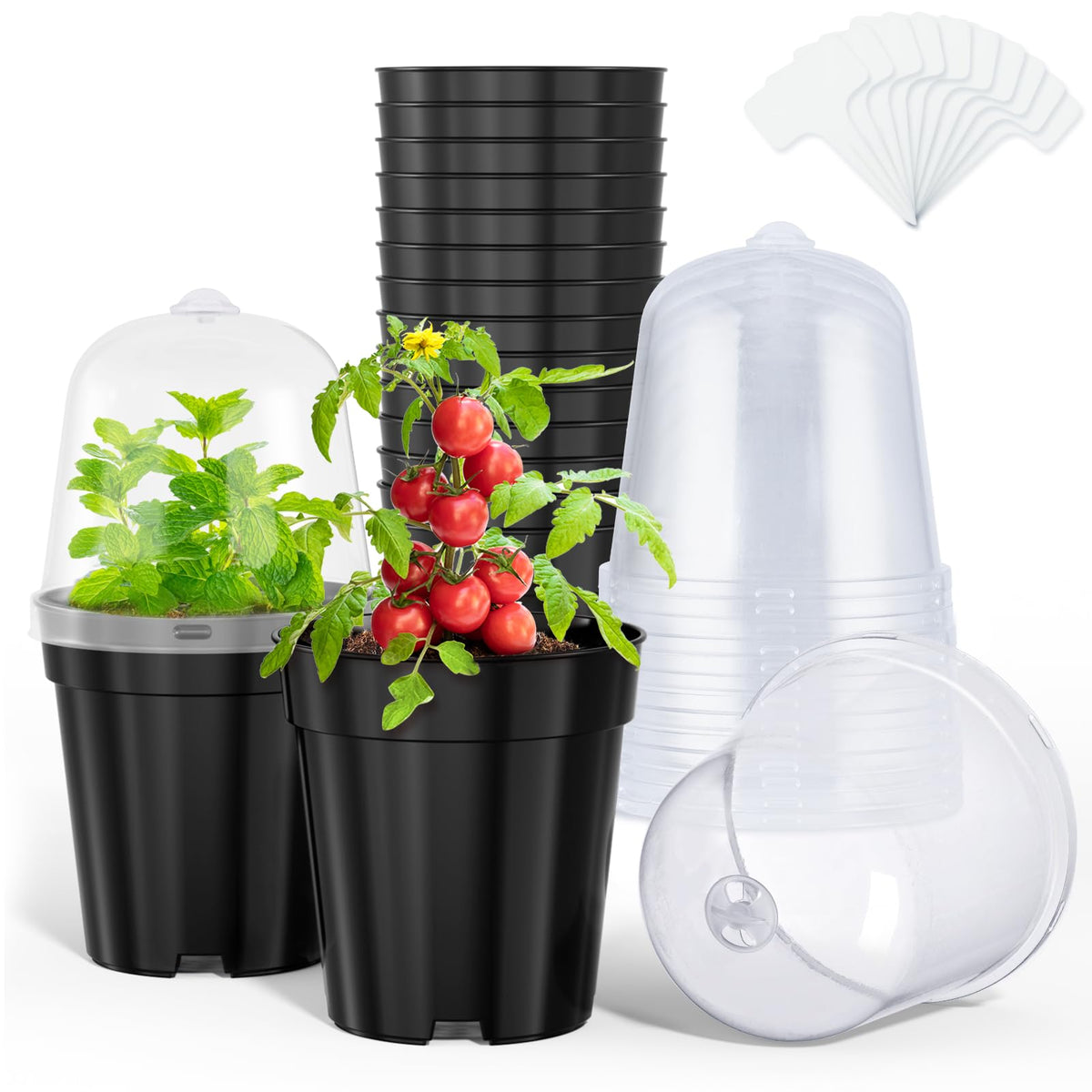 homenote 3/4/5 Inch Clear Nursery Pots with Drainage and 20 Labels (30 Pcs)