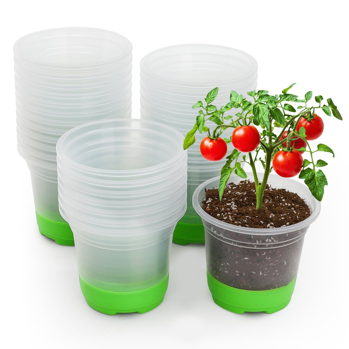 MIXC Clear Nursery Pots with Silicone Base, 4-Inch, 30-Pack