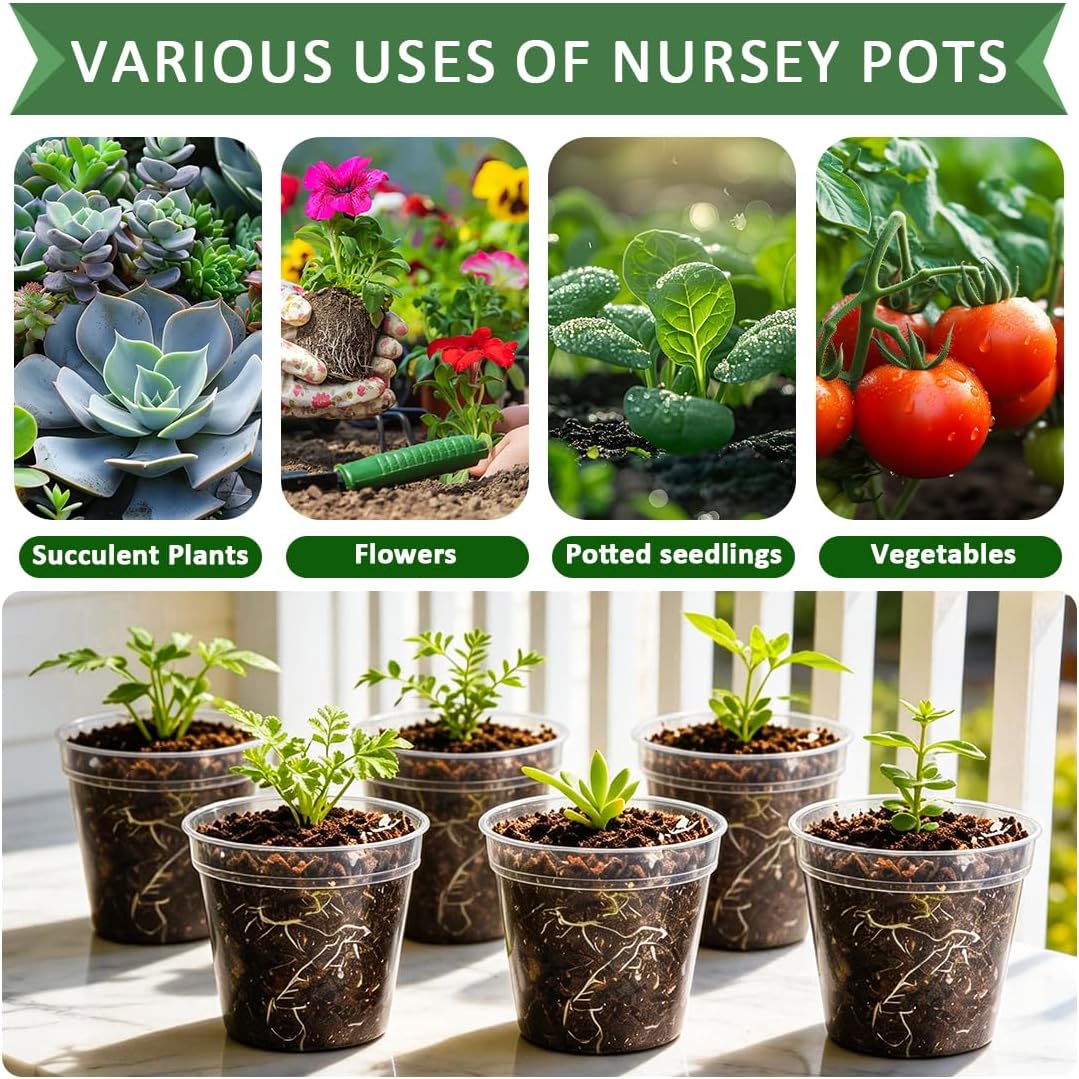 100 Pack 2.5" Clear Nursery Pots for Plants Seeds Starter Germination
