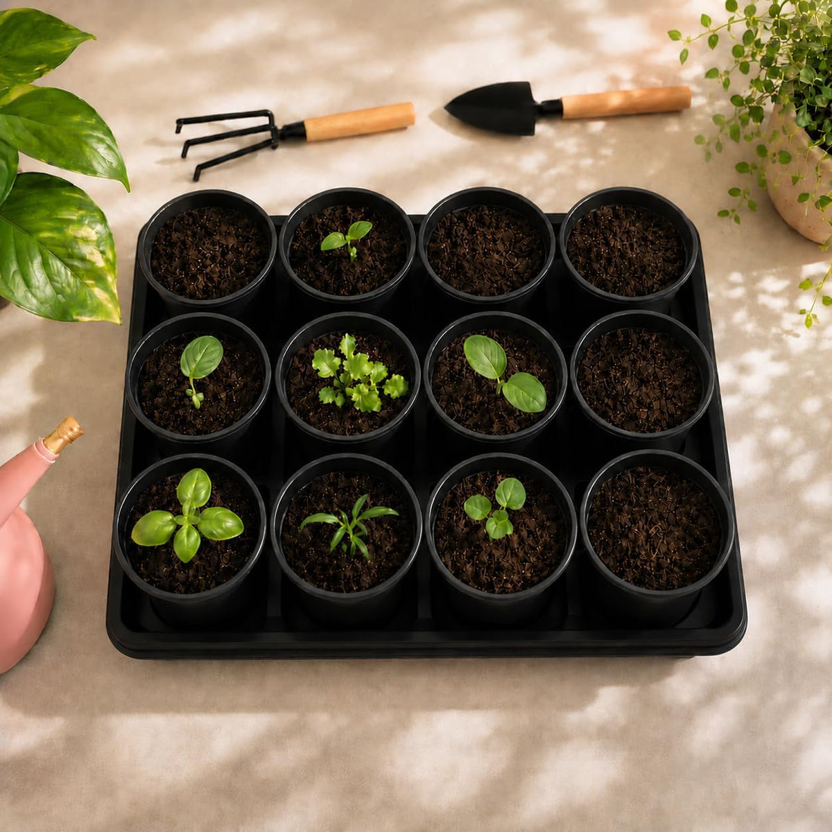 5 Pack Plastic Seed Starter Tray with 60pcs 3.5 inch Seedling Pots