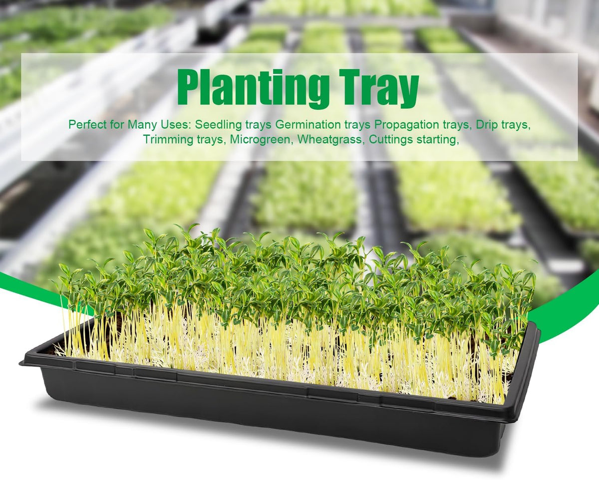 RooTrimmer Plant Growing Nursery, Standard 1020 Trays Plastic Sturdy Farmer Self Seedling Tray for Microgreens Indoor Nursery Pots Transplantation (5-Pack, 21.6"×11.2", 2.52" Deep, no Holes)