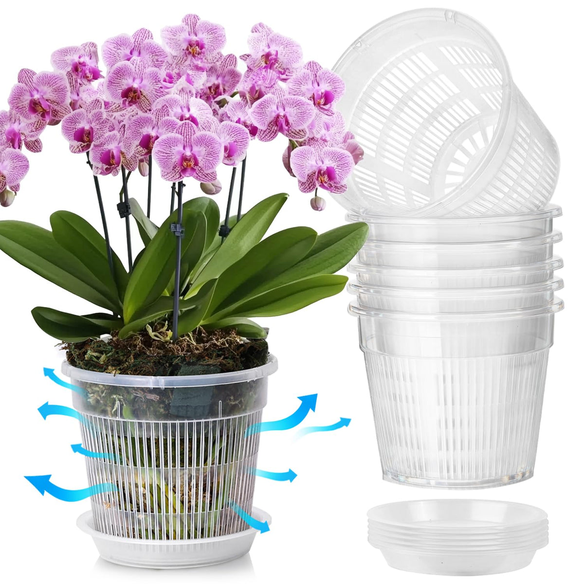 T4U Clear Orchid Pots 4.3 Inch 6 Pack, Orchid Pot with Holes Repotting