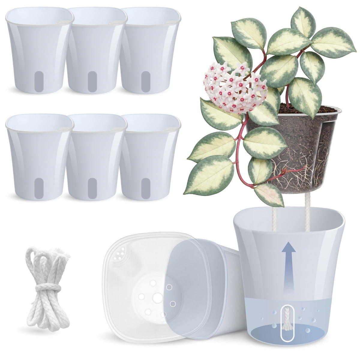 10 Pack 3" Self Watering Pots for Indoor Plants, Clear Inner Cup, Small Pink Plastic Planters, Water Level Indicator, Drainage Holes, Extra 3ft Wick, Cuttings,Seedlings,Herb,African Violet