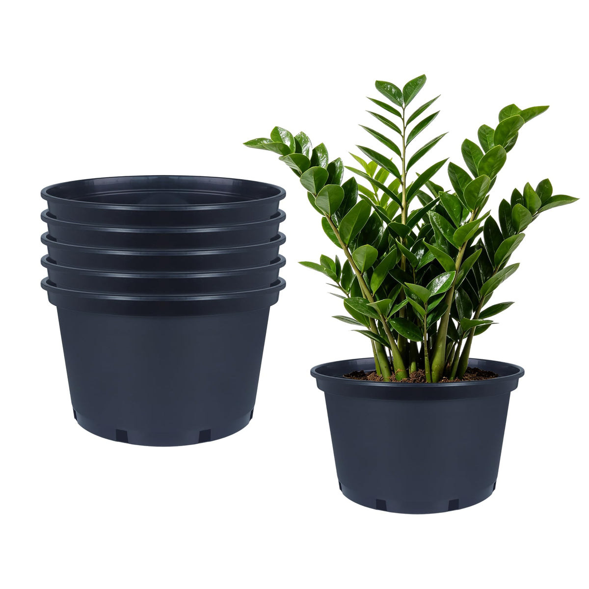 20 Pack 4 Inch Clear Nursery Pots with Drainage and 20 Pack Plant Saucers, Plant Pots for Plants Transparent Potting Containers for Plants Seeding Starter Pot (Clear, 4 Inch)
