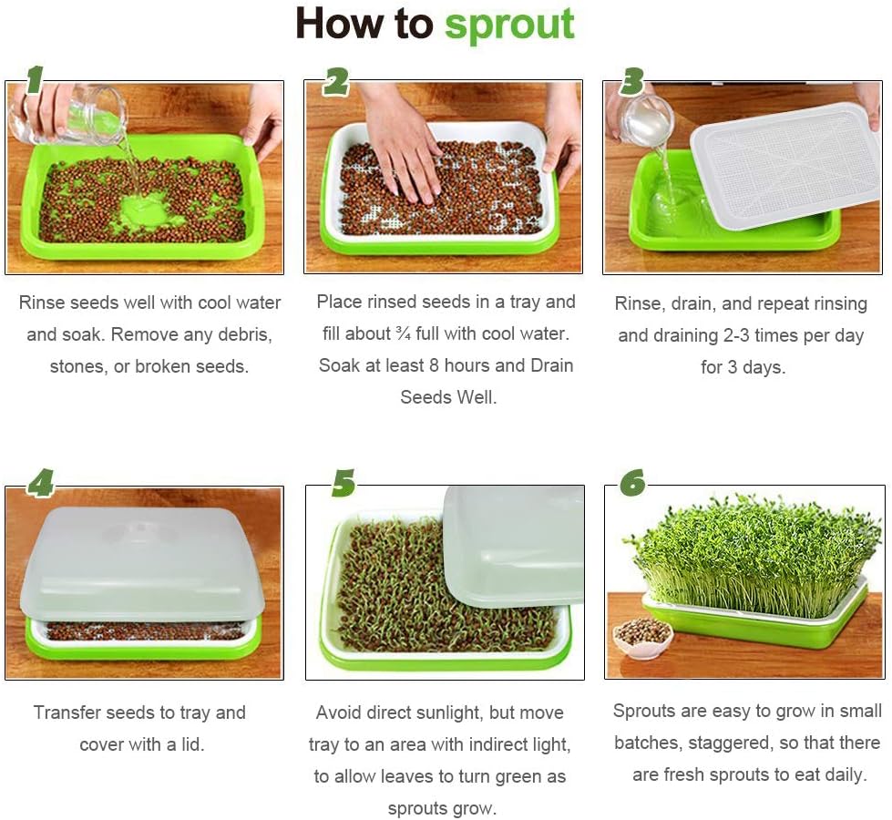 SUNPRO 2-Pack Seed Sprouter Tray with Humidity Lid, BPA Free Food Grade Soil-Free Sprouting Kit, Large Capacity Wheatgrass Grower & Microgreens Germination Station for Beans, Peas, Cat Grass (Green)